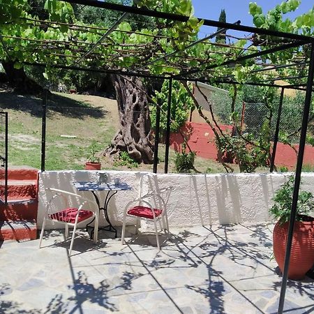 Rio Grande Rooms بينيتسيس المظهر الخارجي الصورة